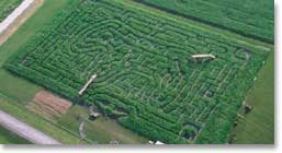 Aerial photo of bear maze at Staceyville, Iowa.
