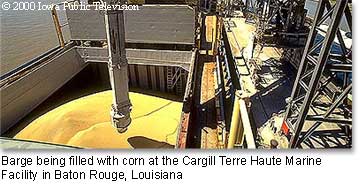 Barge being filled with corn at the Cargill Terre Haute Marine Facility in Baton Rouge, Louisiana.