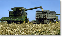 Combine harvesting corn near Stockton, Kansas