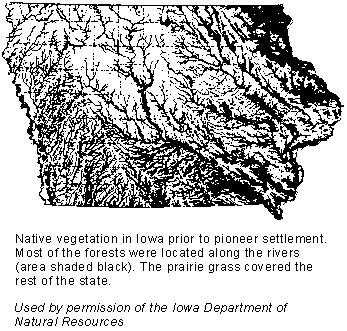 Native vegetation in Iowa prior to pioneer settlement. Most of the forests  were located along the rivers. The prairie grass covered the rest of the state.