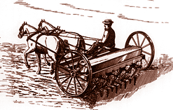 Horse-drawn seed drill