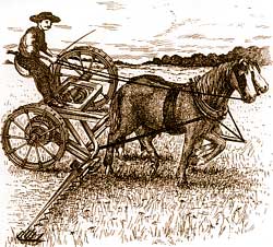 Man on horse-drawn grain cutter.